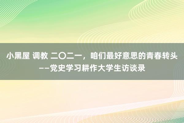 小黑屋 调教 二〇二一，咱们最好意思的青春转头——党史学习耕作大学生访谈录