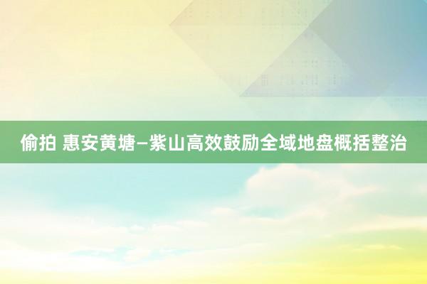 偷拍 惠安黄塘—紫山高效鼓励全域地盘概括整治